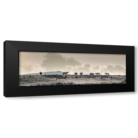 Wild Horse Ridge Black Modern Wood Framed Art Print with Double Matting by Delimont, Danita