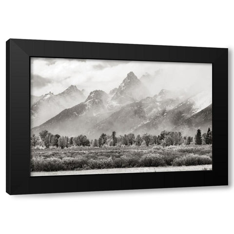 Teton Range Black Modern Wood Framed Art Print by Delimont, Danita