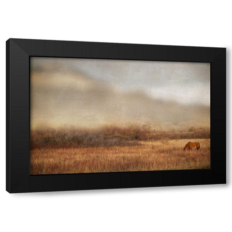 Grazing at Sunset Black Modern Wood Framed Art Print by Delimont, Danita