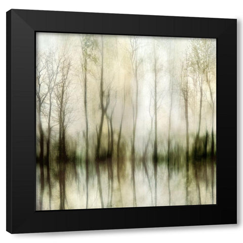 Misty Black Modern Wood Framed Art Print by Weisz, Irene