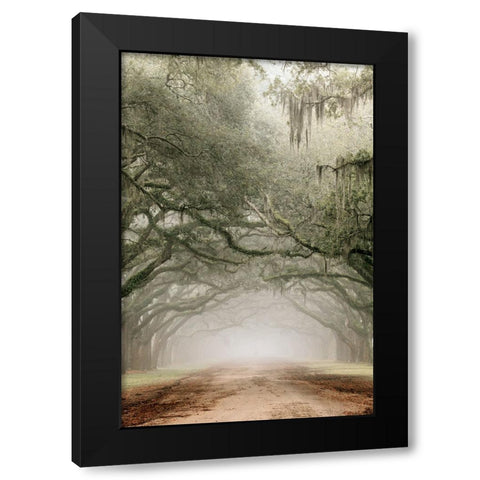 Plantation Drive Black Modern Wood Framed Art Print with Double Matting by Delimont, Danita