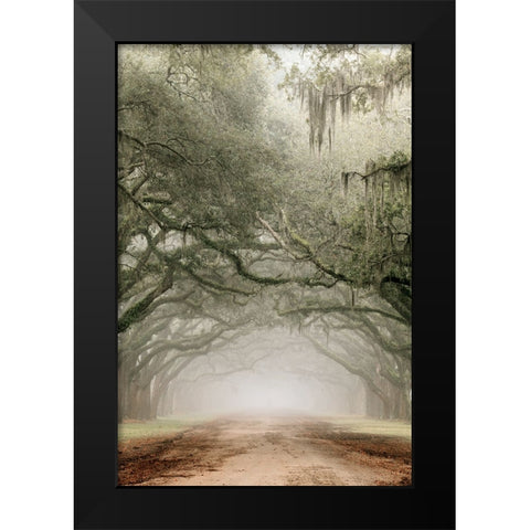 Plantation Drive Black Modern Wood Framed Art Print by Delimont, Danita