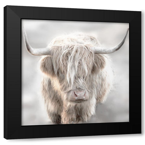 Soft Solo Highland Black Modern Wood Framed Art Print with Double Matting by Delimont, Danita