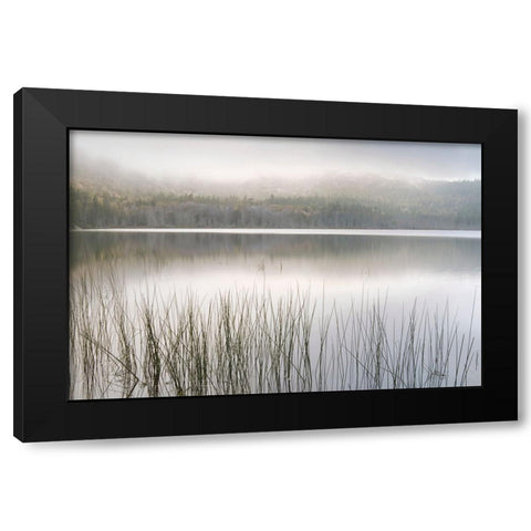 Lake Fog Black Modern Wood Framed Art Print with Double Matting by Delimont, Danita