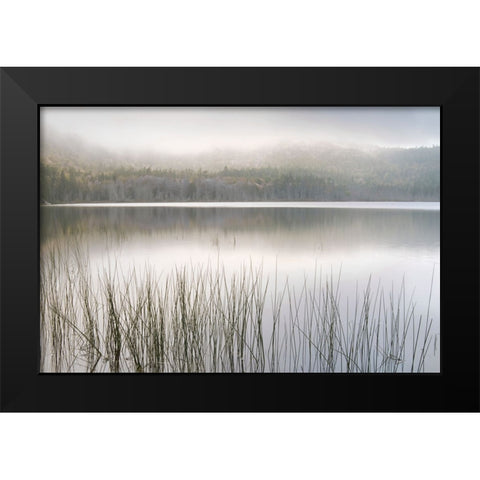 Lake Fog Black Modern Wood Framed Art Print by Delimont, Danita