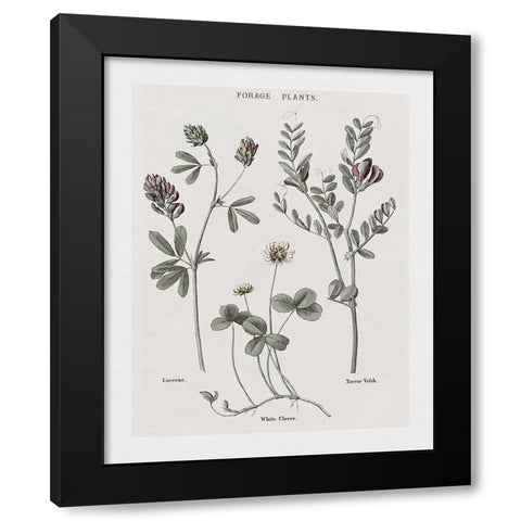 Multi Botanical I Black Modern Wood Framed Art Print with Double Matting by Donovan, Kelly
