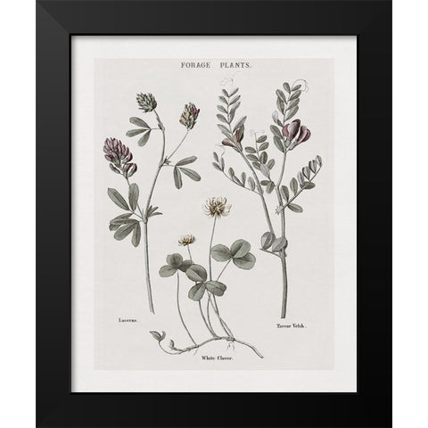 Multi Botanical I Black Modern Wood Framed Art Print by Donovan, Kelly