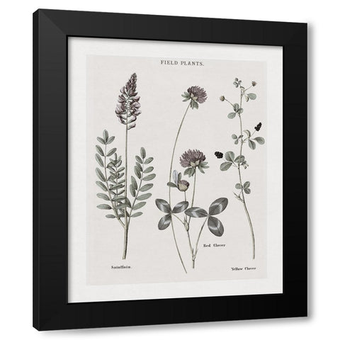 Multi Botanical II Black Modern Wood Framed Art Print by Donovan, Kelly