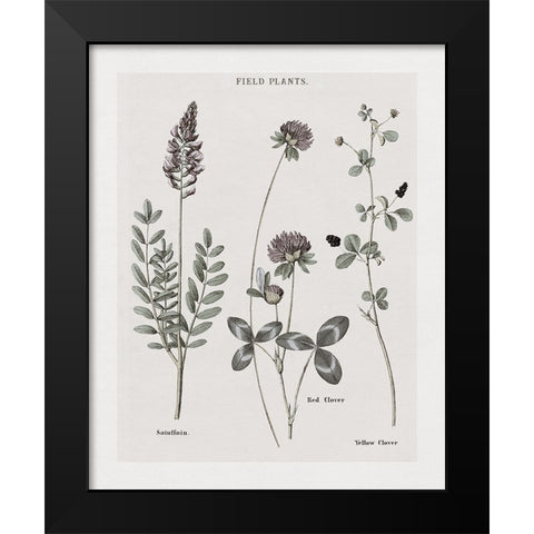 Multi Botanical II Black Modern Wood Framed Art Print by Donovan, Kelly