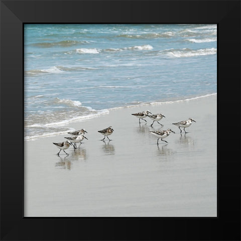 Sandpiper Shore I Black Modern Wood Framed Art Print by Carpentieri, Natalie