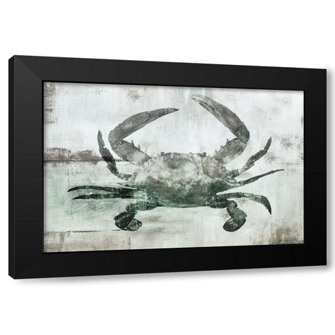 Neutral Crab I Black Modern Wood Framed Art Print with Double Matting by Nan