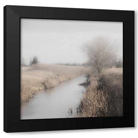 Misty Cattails Black Modern Wood Framed Art Print with Double Matting by Robinson, Carol