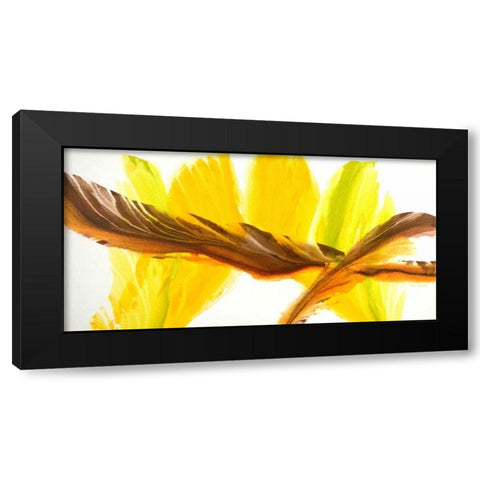 Contrary Black Modern Wood Framed Art Print with Double Matting by Segrest, Jane