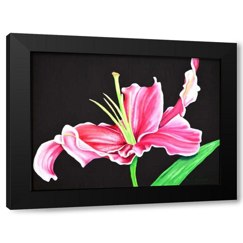 Pink Lily Black Modern Wood Framed Art Print by Segrest, Jane