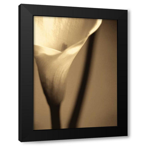 Divinity I Black Modern Wood Framed Art Print by Ryan, Cinzia