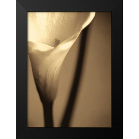 Divinity I Black Modern Wood Framed Art Print by Ryan, Cinzia