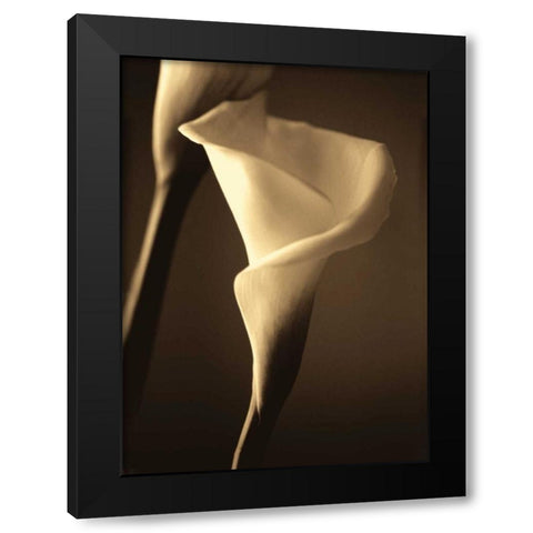 Divinity II Black Modern Wood Framed Art Print by Ryan, Cinzia