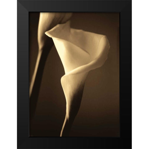 Divinity II Black Modern Wood Framed Art Print by Ryan, Cinzia