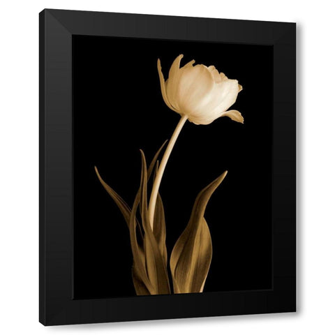 Classic Beauty Black Modern Wood Framed Art Print by Britt, Charles