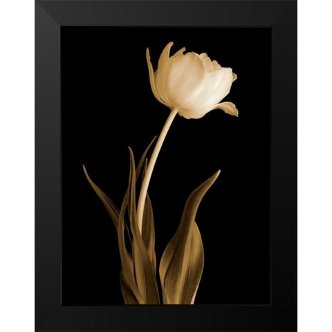 Classic Beauty Black Modern Wood Framed Art Print by Britt, Charles