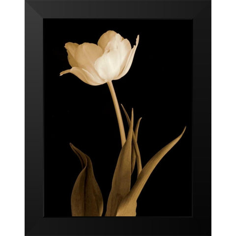 Splendid Beauty Black Modern Wood Framed Art Print by Britt, Charles