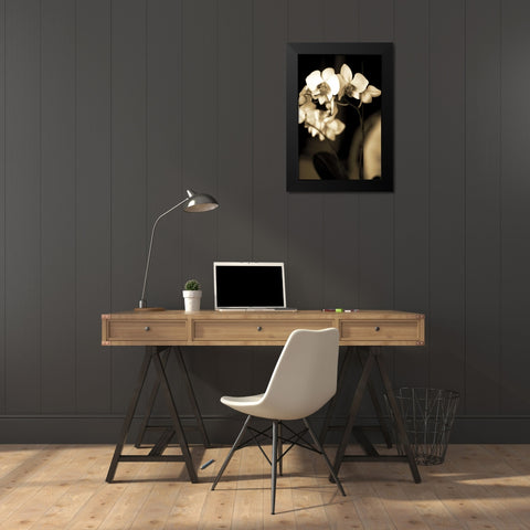 Exotic Blooms Black Modern Wood Framed Art Print by Ryan, Cinzia