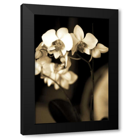 Exotic Blooms Black Modern Wood Framed Art Print by Ryan, Cinzia