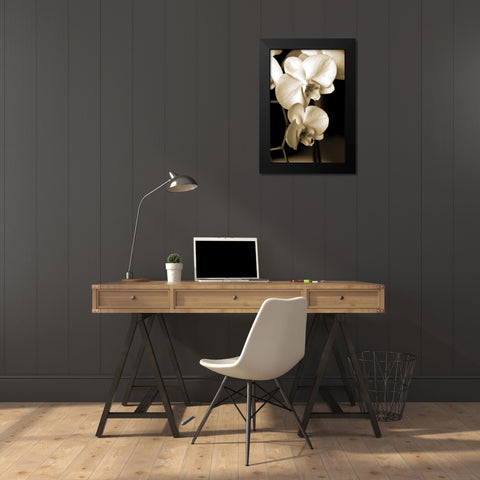 Exotic Blooms Black Modern Wood Framed Art Print by Ryan, Cinzia