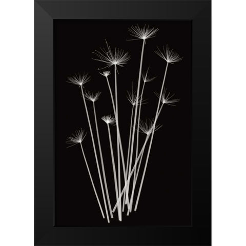 Three Rushes Black Modern Wood Framed Art Print by Wehtje, Jim