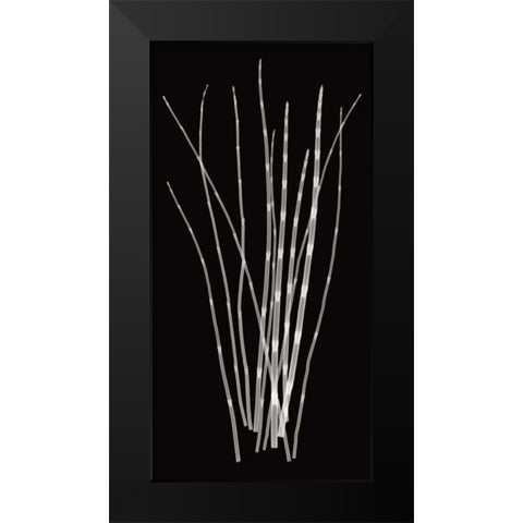 Three Rushes Black Modern Wood Framed Art Print by Wehtje, Jim