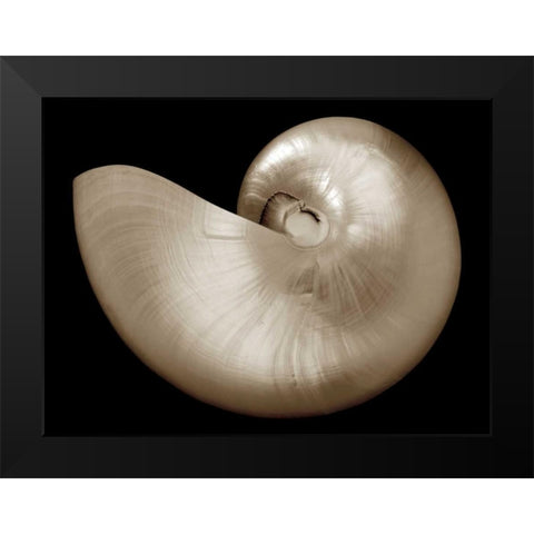 Ocean Keepsake I Black Modern Wood Framed Art Print by Britt, Charles