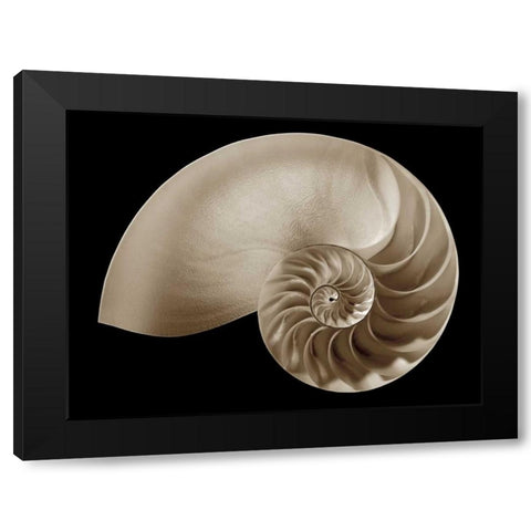 Ocean Keepsake II Black Modern Wood Framed Art Print with Double Matting by Britt, Charles