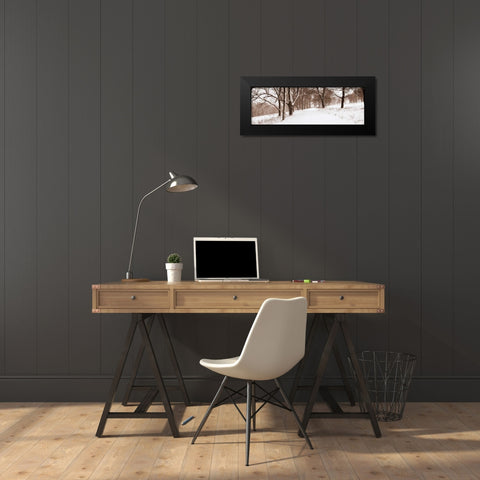 First Snow I Black Modern Wood Framed Art Print by Sleeper, Mike