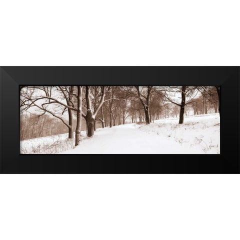 First Snow I Black Modern Wood Framed Art Print by Sleeper, Mike
