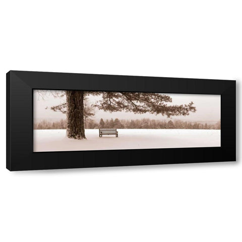 First Snow II Black Modern Wood Framed Art Print by Sleeper, Mike