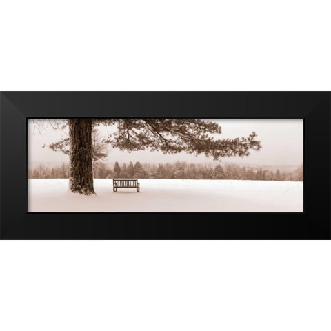First Snow II Black Modern Wood Framed Art Print by Sleeper, Mike