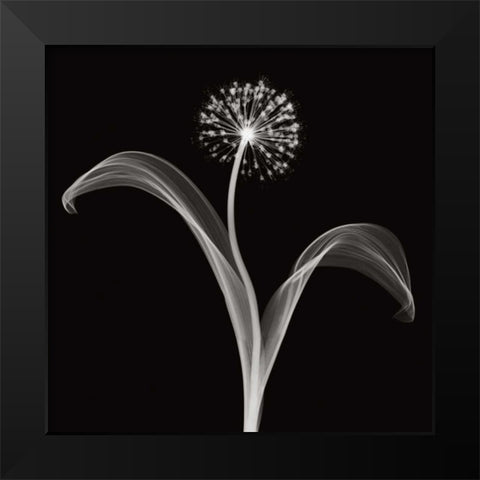 Into the Night I Black Modern Wood Framed Art Print by Wehtje, Jim