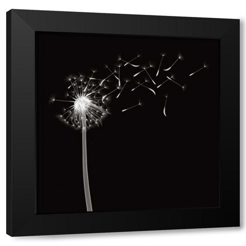 Into the Night II Black Modern Wood Framed Art Print with Double Matting by Wehtje, Jim