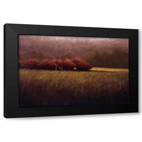 Young Maples Black Modern Wood Framed Art Print by Winegar, Simon
