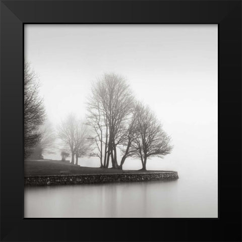 Fog and Trees at Dusk Black Modern Wood Framed Art Print by LSH