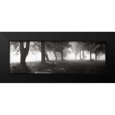 Translucence Black Modern Wood Framed Art Print by Sleeper, Mike
