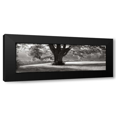 Ascendancy) Black Modern Wood Framed Art Print by Sleeper, Mike