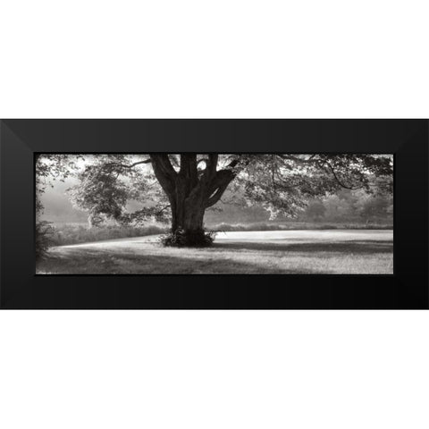 Ascendancy) Black Modern Wood Framed Art Print by Sleeper, Mike