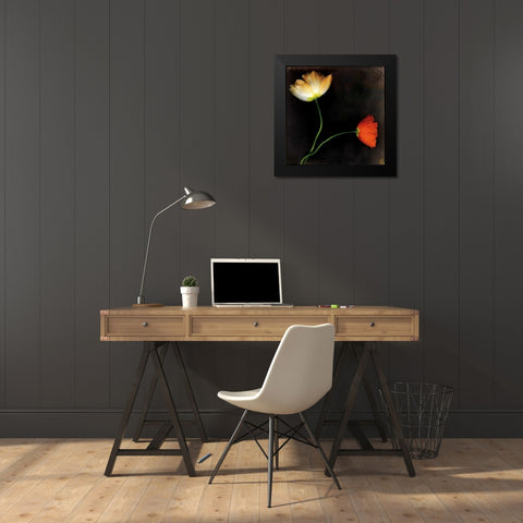 Icelantic Poppies Black Modern Wood Framed Art Print by Filler, Rick