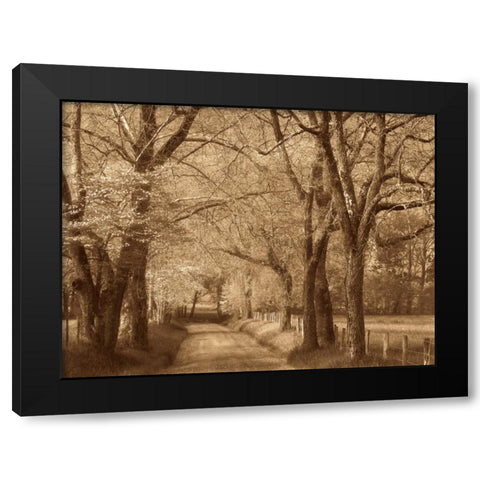 Smokies Road Black Modern Wood Framed Art Print by Caro, Wendy