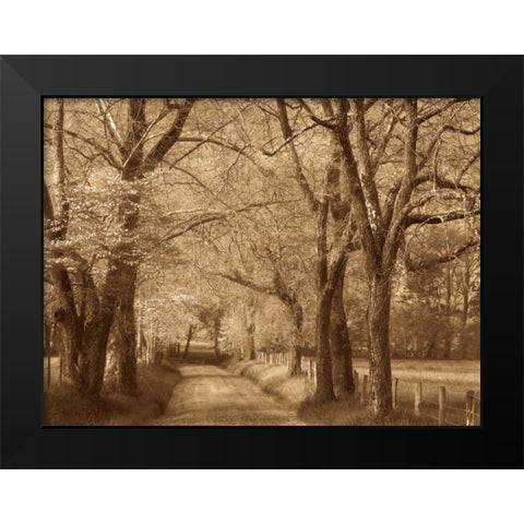 Smokies Road Black Modern Wood Framed Art Print by Caro, Wendy
