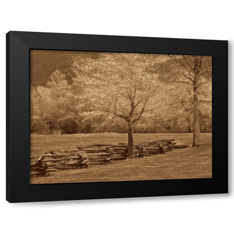 Smokies Fence Black Modern Wood Framed Art Print by Caro, Wendy