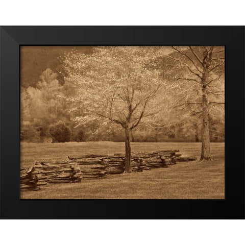 Smokies Fence Black Modern Wood Framed Art Print by Caro, Wendy