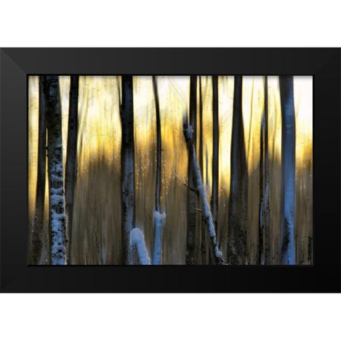 The Forest at Dawn Black Modern Wood Framed Art Print by Pelkey, Marvin