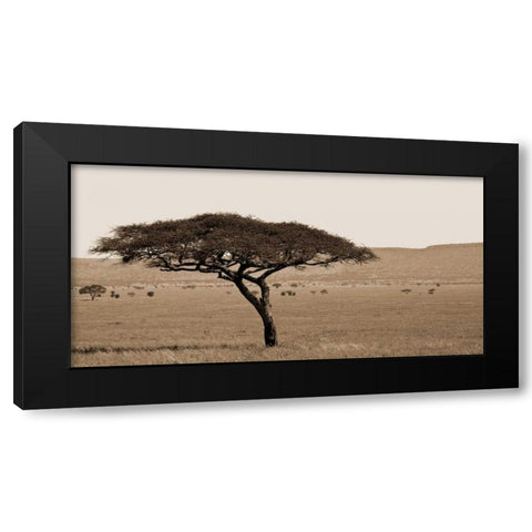Serengeti Horizons I Black Modern Wood Framed Art Print by Maihara/Watt, Jeff/Boyce